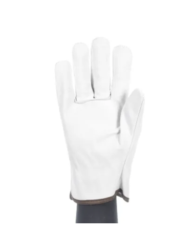 GUANTE CUERO 160IBSZ (T7-T11) (10X12)